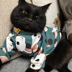 Cute Print Pet Cat Costume Hoodie Winter Warm Cat Clothes for Cats Soft Fleece Puppy Kedi Clothing Coat Pets Products for Animal