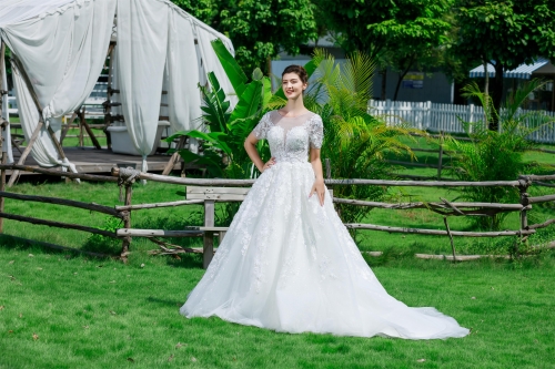 LW4252 Luxury Lace Applique Bridal Gown