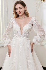 WT4840 2026 New Sparkle tulle Aline